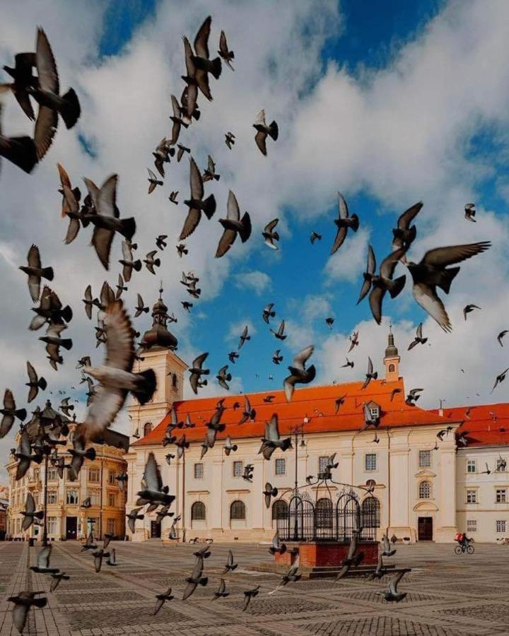 Grand Central Studios Sibiu Exterior foto